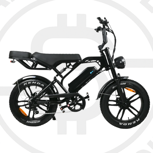 fatbikes